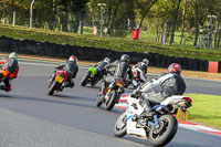 Middle 2 Group Black Bikes